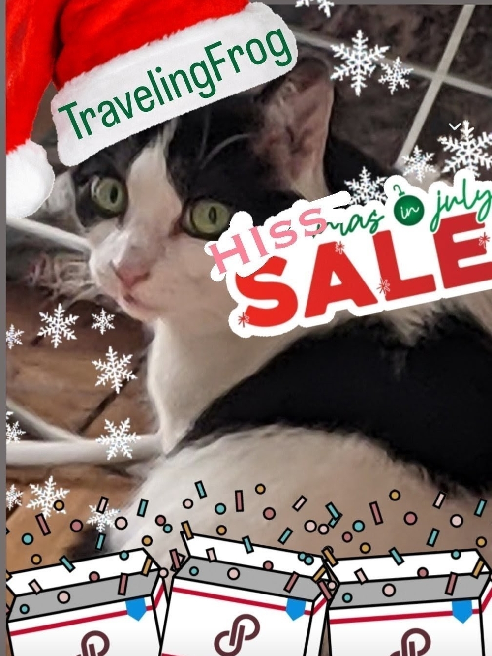 TravelingFrog Hissmas In July Sale!